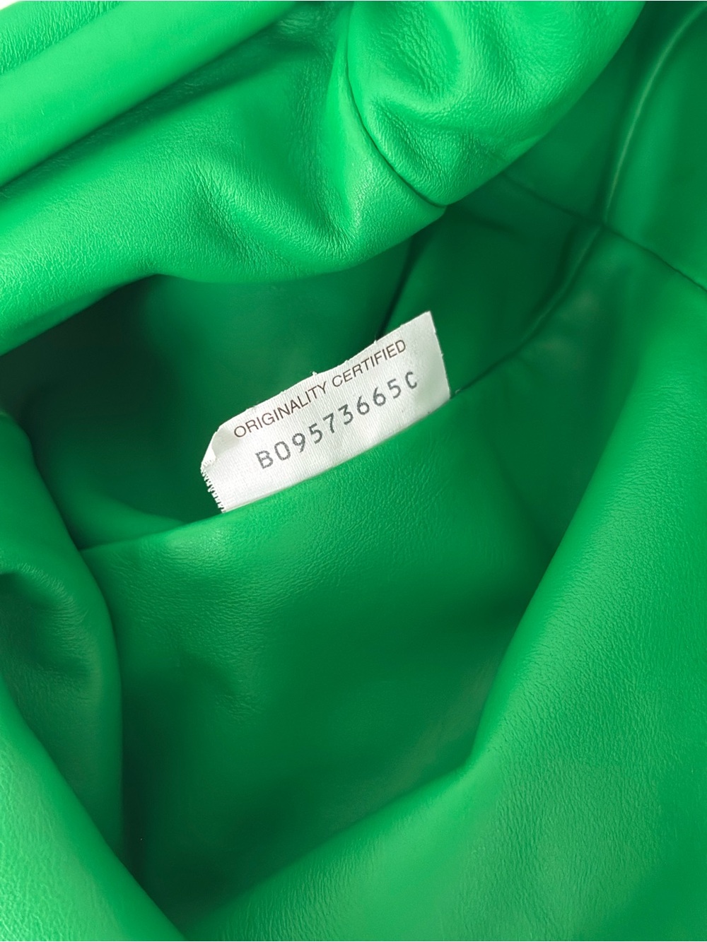 BOTTEGA VENETA Daniel Lee WILLIAMSBURG POP-UP Parakeet Teen Pouch - Picture 3 of 7